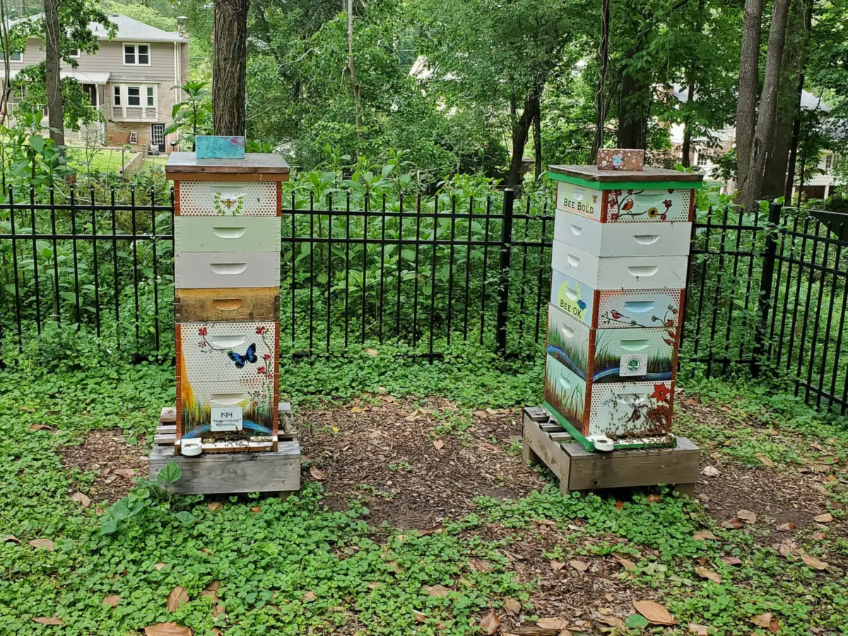 Beehives at the Dunwoody Nature Center on Roberts Drive