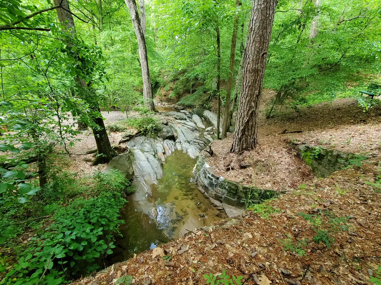 Wildcat Creek at the Dunwoody Nature Center on Roberts Drive