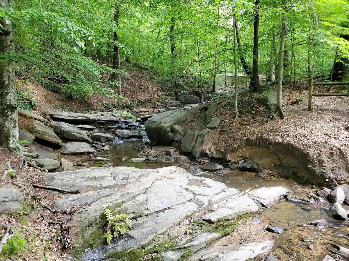 Wildcat Creek running over granite in the woods of the Dunwoody Nature Center