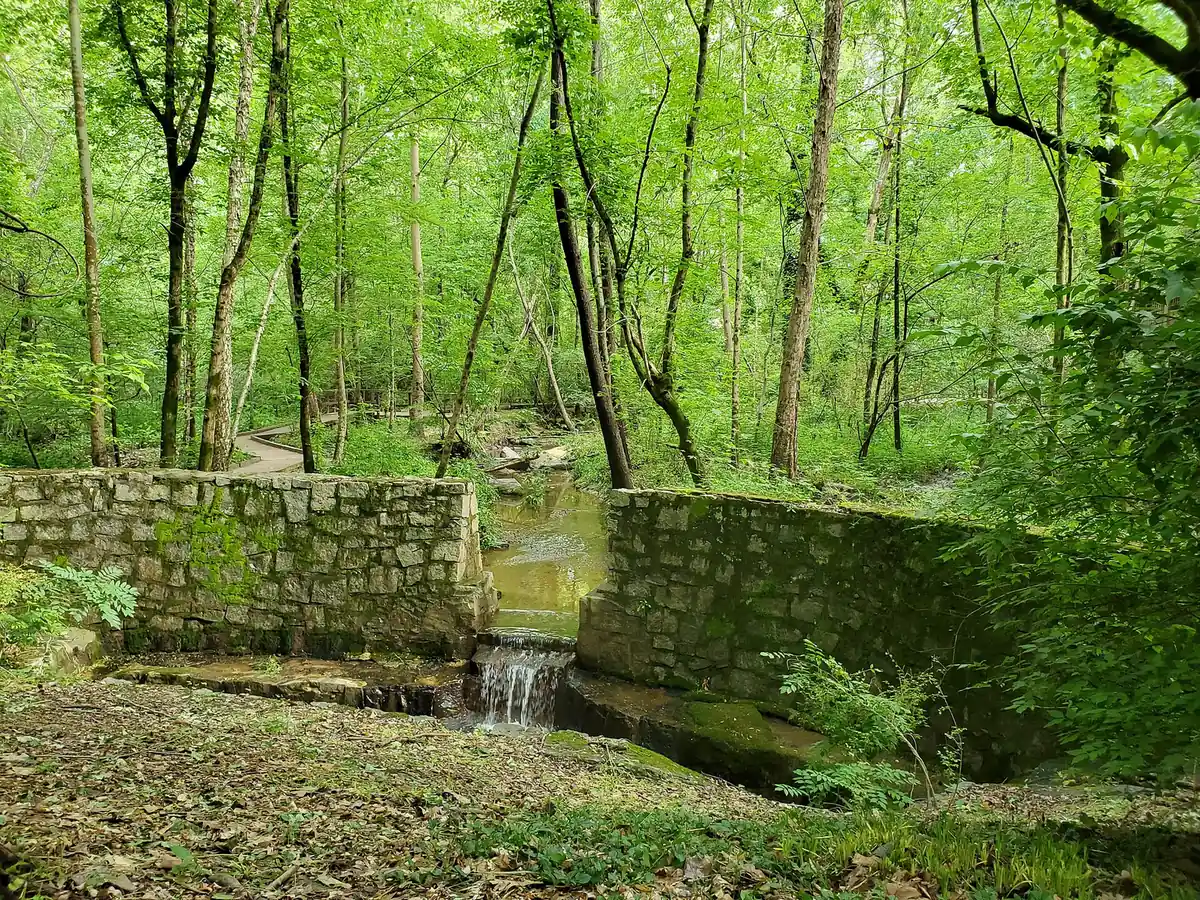 An old stone wall along Wildcat Creek at the Dunwoody Nature Center, home of the center's summer camps
